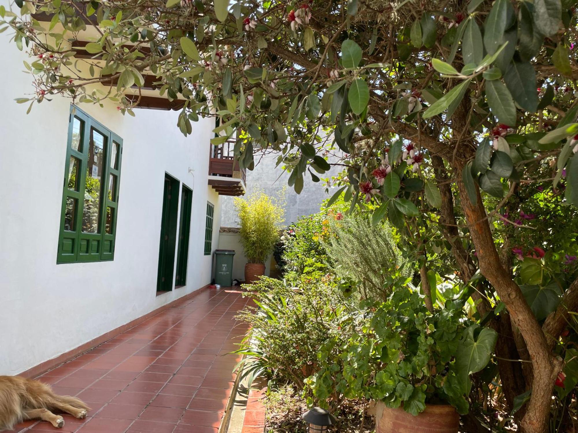 Hostal El Pino Villa de Leyva Exterior photo